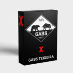 CURSO GABS - GABS TEIXEIRA
